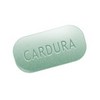 cs-support-online24-Cardura cs-support-online24-Cardura