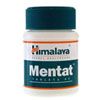 cs-support-online24-Mentat cs-support-online24-Mentat