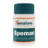 cs-support-online24-Speman cs-support-online24-Speman